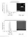 Fig. 13 - CORE-SHELL PARTICLE FORMULATION FOR DELIVERING MULTIPLE THERAPEUTIC AGENTS