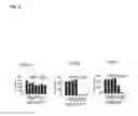 Fig. 03 - Pharmaceutical composition for preventing or treating immune diseases or inflammatory diseases, containing biguanide derivative compound as active ingredient