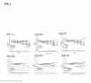 Fig. 04 - Pharmaceutical composition for preventing or treating immune diseases or inflammatory diseases, containing biguanide derivative compound as active ingredient