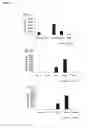 Fig. 07 - Pharmaceutical composition for preventing or treating immune diseases or inflammatory diseases, containing biguanide derivative compound as active ingredient