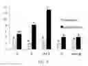 Fig. 08 - COMPOSITIONS FOR IMPROVEMENT OF BRAIN FUNCTION