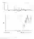 Fig. 07 - S-(carboxymethyl)-cysteine pharmaceutical compound and preparation method and use thereof