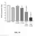 Fig. 15 - Methods of reducing or preventing oxidation of small dense LDL or membrane polyunsaturated fatty acids