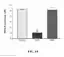 Fig. 20 - Methods of reducing or preventing oxidation of small dense LDL or membrane polyunsaturated fatty acids