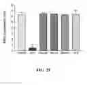 Fig. 26 - Methods of reducing or preventing oxidation of small dense LDL or membrane polyunsaturated fatty acids