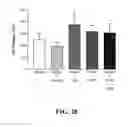 Fig. 29 - Methods of reducing or preventing oxidation of small dense LDL or membrane polyunsaturated fatty acids