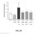Fig. 31 - Methods of reducing or preventing oxidation of small dense LDL or membrane polyunsaturated fatty acids