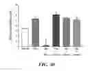 Fig. 41 - Methods of reducing or preventing oxidation of small dense LDL or membrane polyunsaturated fatty acids