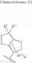 Fig. 12 - Heterocyclic derivative having AMPK-activating activity