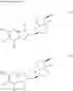 Fig. 15 - Heterocyclic derivative having AMPK-activating activity