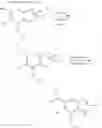 Fig. 34 - Heterocyclic derivative having AMPK-activating activity