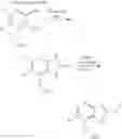 Fig. 41 - Heterocyclic derivative having AMPK-activating activity
