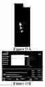 Fig. 20 - Methods of reducing mammographic breast density and/or breast cancer risk