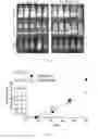 Fig. 03 - GENE MODIFIED IMMUNE EFFECTOR CELLS AND ENGINEERED CELLS FOR EXPANSION OF IMMUNE EFFECTOR CELLS