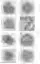 Fig. 46 - GENE MODIFIED IMMUNE EFFECTOR CELLS AND ENGINEERED CELLS FOR EXPANSION OF IMMUNE EFFECTOR CELLS