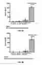 Fig. 07 - Bioengineered adipocytes for the light-controlled release of insulin and other peptides
