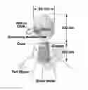 Fig. 01 - Genetically Modified Bacteriophage (Bio-Phage)