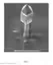 Fig. 07 - Genetically Modified Bacteriophage (Bio-Phage)