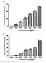 Fig. 02 - Antioxidant composition containing extracellular polysaccharide produced using as active ingredient