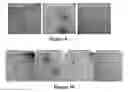 Fig. 07 - Compositions and methods for the treatment of plaques and tangles in humans and animals