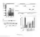 Fig. 09 - Compositions and methods for the treatment of disorders involving epithelial cell apoptosis