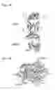 Fig. 02 - Molecular constructs and uses thereof