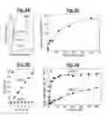 Fig. 06 - Compositions and Methods for Treating Pathological Calcification and Ossification