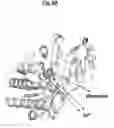 Fig. 08 - Compositions and Methods for Treating Pathological Calcification and Ossification