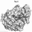 Fig. 22 - Compositions and Methods for Treating Pathological Calcification and Ossification
