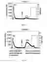 Fig. 06 - Formulations comprising recombinant acid alpha-glucosidase