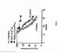 Fig. 03 - COMPOSITIONS AND METHODS FOR THE PREVENTION AND TREATMENT OF AUTOIMMUNE CONDITIONS