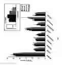 Fig. 04 - COMPOSITIONS AND METHODS FOR THE PREVENTION AND TREATMENT OF AUTOIMMUNE CONDITIONS