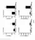 Fig. 28 - COMPOSITIONS AND METHODS FOR THE PREVENTION AND TREATMENT OF AUTOIMMUNE CONDITIONS