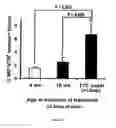 Fig. 33 - COMPOSITIONS AND METHODS FOR THE PREVENTION AND TREATMENT OF AUTOIMMUNE CONDITIONS