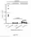 Fig. 07 - TARGET PEPTIDES FOR IMMUNOTHERAPY AND DIAGNOSTICS