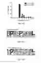 Fig. 28 - TARGET PEPTIDES FOR IMMUNOTHERAPY AND DIAGNOSTICS
