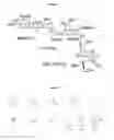 Fig. 02 - Vaccines against serotype 4