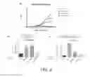 Fig. 06 - Methods and compositions for recombinant dengue viruses for vaccine and diagnostic development