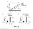 Fig. 12 - Methods and compositions for recombinant dengue viruses for vaccine and diagnostic development