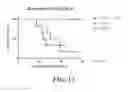 Fig. 14 - Methods and compositions for recombinant dengue viruses for vaccine and diagnostic development