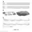 Fig. 15 - Methods and compositions for recombinant dengue viruses for vaccine and diagnostic development