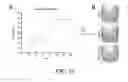 Fig. 17 - Methods and compositions for recombinant dengue viruses for vaccine and diagnostic development