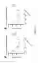 Fig. 25 - Methods and compositions for recombinant dengue viruses for vaccine and diagnostic development