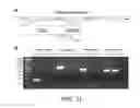 Fig. 27 - Methods and compositions for recombinant dengue viruses for vaccine and diagnostic development
