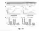 Fig. 32 - Methods and compositions for recombinant dengue viruses for vaccine and diagnostic development