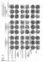 Fig. 03 - Hemagglutinin-binding peptide