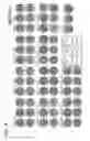 Fig. 07 - Hemagglutinin-binding peptide