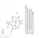 Fig. 05 - Compositions and methods for activating “stimulator of interferon gene”-dependent signalling