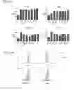 Fig. 28 - Compositions and methods for activating “stimulator of interferon gene”-dependent signalling