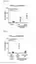 Fig. 29 - Compositions and methods for activating “stimulator of interferon gene”-dependent signalling